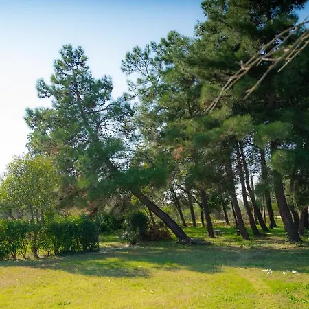 Apartament House By The Sea! Epanomi